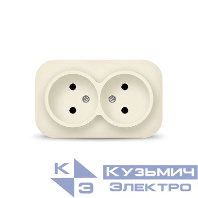 Розетка 2-м ОП 10А IP20 без заземл. сл. кость IONICH 1427