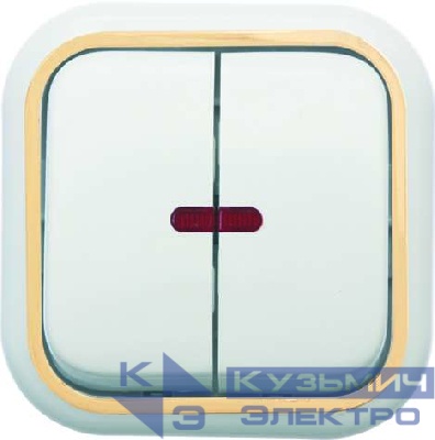 Выключатель 2-кл. ОП Валентина 10А IP20 с индикацией бел./зол. Кунцево 7637