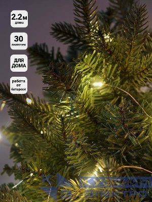 Гирлянда "Нить" 2.17м LDM030-WW-BO 30 тепл. бел. минисветодиодов для помещений SHLights 4690601042194