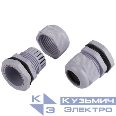 Ввод кабельный (сальник) PG 25 d16-21мм (d отверст. 31мм) IP54 (уп.15шт) Эра Б0065202