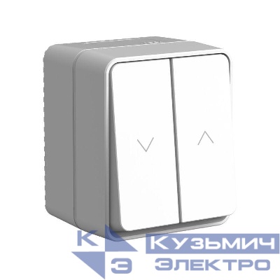Выключатель для жалюзи 2-кл. ОП AtlasDesign PROFI 10А IP54 сер. SE ATN543019