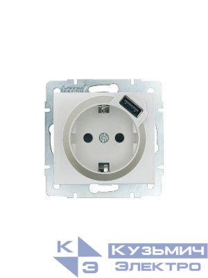 Розетка 1-м СП RAIN 16А IP20 с заземл. + USB механизм жемчуж./бел. перламутр. LEZARD 703-3088-181