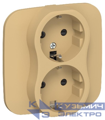 Розетка 2-м СП FLITE РСш12-1-А-ФлШм 16А с заземл. с защ. шторками безвинтовое крепление в сборе механизм шамуа IEK FI-R24A-16-1-K89