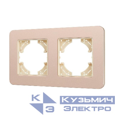 Рамка 2-м FRM-AKIRY-SFAL-2-GD алюм. Arlight 049739