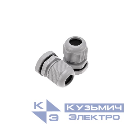 Ввод кабельный PG-13.5 (6-12мм) сер. Rexant 07-8013