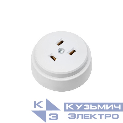 Розетка РШ для электрической плиты 32А 250В 2Р+РЕ (ОУ) бел. Rexant 11-8984