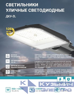 Светильник уличный линзованный светодиодный ДКУ-2L 250Вт 230В 5000К 31250лм 125лм/Вт 48-70мм IP65 NEOX 4690612057507