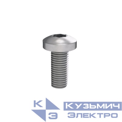 Винт M5х25 RAM power для шинного держателя (уп.20шт) DKC R5SCM5X25