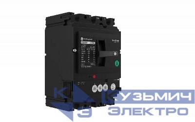 Выключатель автоматический SYSTEMEPACT CCB100 36кА 3P3D TMD100 рычаг SE SPC100F100L3DF