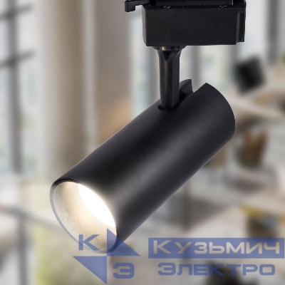 Светильник трековый TR5-20 20Вт COB 4000К 1400лм 1ф BK черн. Эра Б0049053