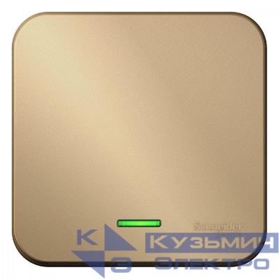 Выключатель 1-кл. ОП Blanca 10А IP20 (сх. 1) 250В с подсветкой с изолир. пластиной титан SE BLNVA101114