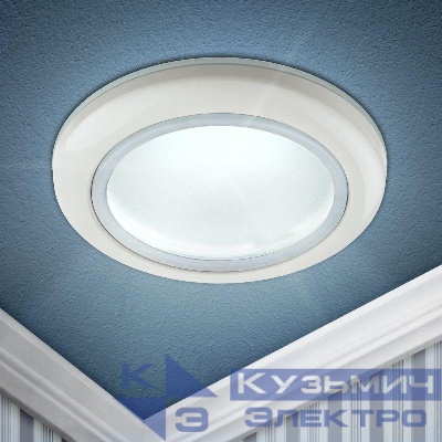 Светильник точечный WR1 WH 50Вт GU5.3 MR16 12В/220В d70мм влагозащ. бел. ЭРА Б0005214