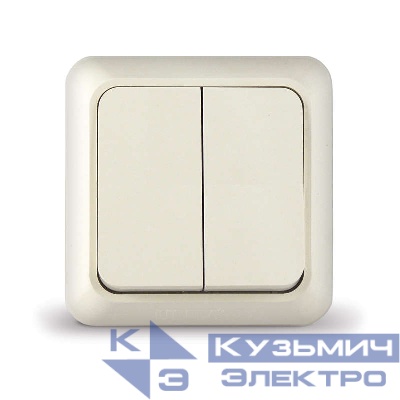 Выключатель 2-кл. ОП Олимп 10А IP20 сл. кость UNIVersal Б-О0023