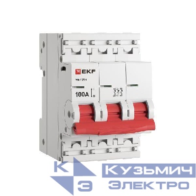 Выключатель нагрузки 3п 100А ВН-125N PROxima EKF S1253100