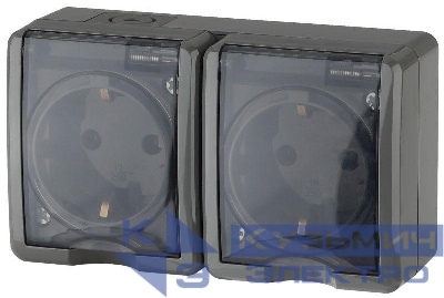 Розетка 2-м ОП Эра Эксперт 11-2403-03 16А IP54 16AX 250В 2х2P+E сер. Эра Б0020717