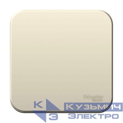 Выключатель 1-кл. ОП Blanca 6А IP20 (сх. 1) 250В с изолир. пластиной молочн. SE BLNVA061012