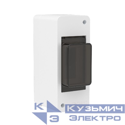 Щиток настенный Фрейм (FRAME) ЩРн-п-2 2мод. IP41 с тонированной дверцей бел. DKC F02W0WD