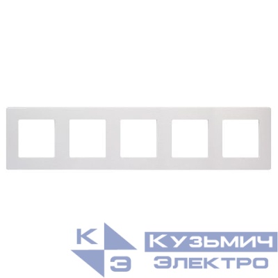 Рамка 5-м Эра12 12-5105-01М сатин бел. матов. Эра Б0065752