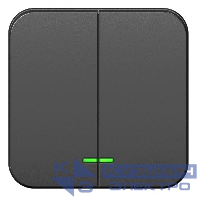 Выключатель 2-кл. ОП Blanca 10А IP20 (сх. 5) 250В с подсветкой с изолир. пластиной антрацит SE BLNVA105116