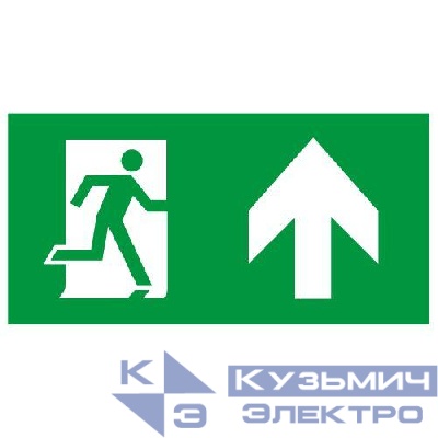 Этикетка самоклеящаяся INFO-SSA-127 бэклит 259х135мм Человек-стрелка-вверх зел. SSA-103 ЭРА Б0064714