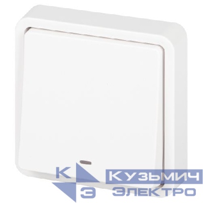 Переключатель Эксперт 11-1527-01 с подсветкой IP55 10АХ-250В СУ бел. Эра Б0063253