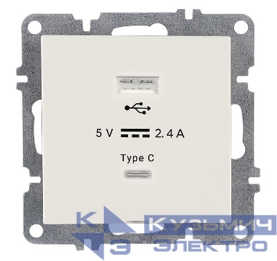 Розетка LAVIN/KAREN USB + TYPE-C механизм бел. ARVIA 50 01 1000 304