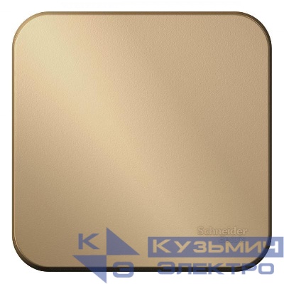 Переключатель проходной 1-кл. ОП Blanca 10А IP20 (сх. 6) 250В с изолир. пластиной титан SE BLNVA106014