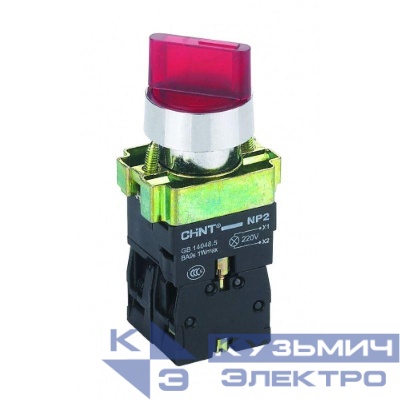 Переключатель NP2-BK12461 2 полож. с фиксацией 1НО красн. AC/DC 220В (LED) IP40 CHINT 574697