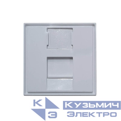 Вставка в рамку 45х45мм (французский тип), 1 порт "SB"