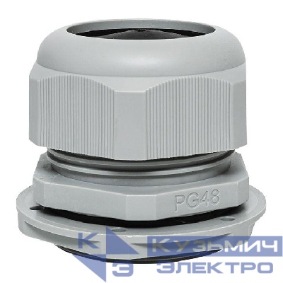 Сальник PG48 IP54 EKF plc-pg-48