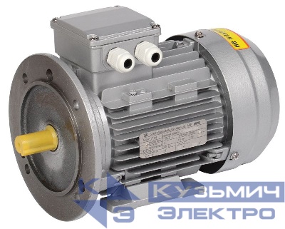 Электродвигатель АИР DRIVE 3ф 63A2 220/380В 0.37кВт 3000об/мин 2081 IEK DRV063-A2-000-4-3020