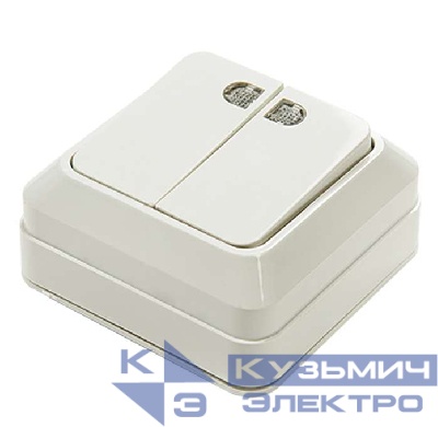 Выключатель 2-кл. ОП Bolleto 10А IP20 7123 накладной с подсветкой бел. ASD / IN HOME 4680005959778