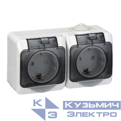 Розетка 2-м ОП Этюд 16А IP44 250В с заземл. защ. шторки с крышкой сер. SE PA16-244C