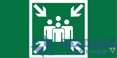 Знак безопасности BL-3015B.E21 Пункт (место) сбора Белый свет a19652
