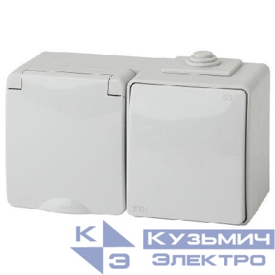 Блок розетка+выкл. ОП Эра Эксперт 11-7601-03 16А(10AX)-250В гориз. IP65 сер. ЭРА Б0035993