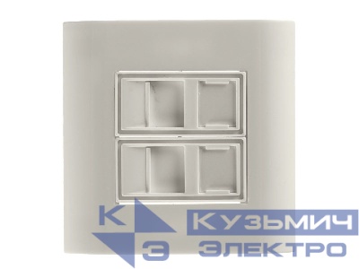 T1.2 - Рамка для внутренней розетки 80х80мм (французский тип)  со вставкой под 2 модуля