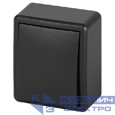 Выключатель 1-кл. ОП Эксперт 11-1201-05 IP20 10АХ-250В антрацит Эра Б0062989