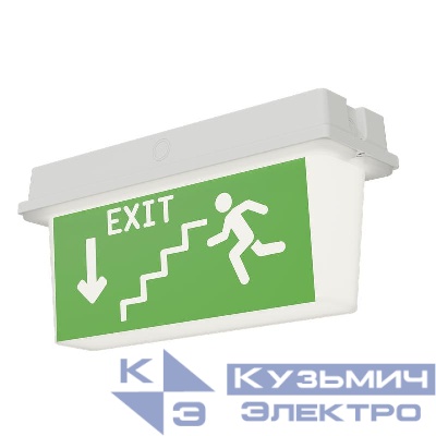 Светильник ДПО78-3-113 Neptun PT LED Ардатов 1178003113