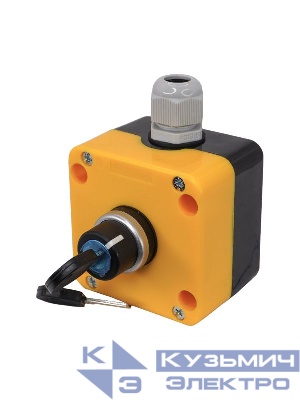 Пост управления ПКУ-22-1345-65У1 1 переключатель на два положения с фиксацией НО+НЗ IP65 Электротехник ET014864