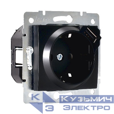 Розетка 1-м СП Karina 16А с заземл. с заряд. устройством USB механизм черн. бархат LEZARD 707-4288-181