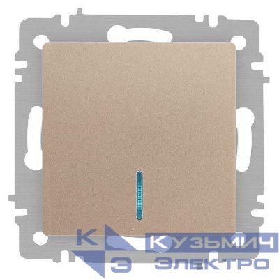 Выключатель 1-кл. СП Accent 6-102-04 10А IP20 250В с подсветкой AL/CU шампань Intro Б0063475