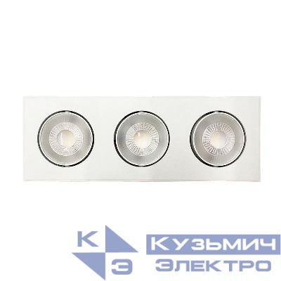 Светильник светодиодный PSP-S 413 3х8Вт 4000К IP40 40град. карданный бел. JazzWay 5048379