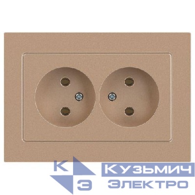 Розетка 2-м СП Accent 6-204-04 16А IP20 250В 2P AL/CU шампань Intro Б0063462
