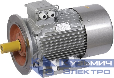 Электродвигатель АИР DRIVE 3ф 180S4 380/660В 22кВт 1500об/мин 2081 IEK DRV180-S4-022-0-1520