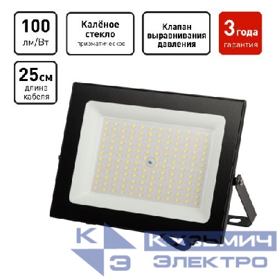 Прожектор светодиодный PRO LPR-062-0-65K-100 100Вт 10000лм 6500К IP65 призма Эра Б0064701