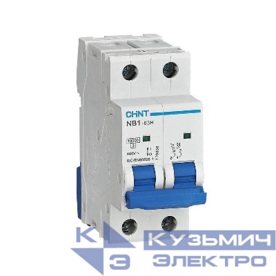 Выключатель автоматический модульный 2п C 6А 10кА NB1-63H (R) CHINT 179835