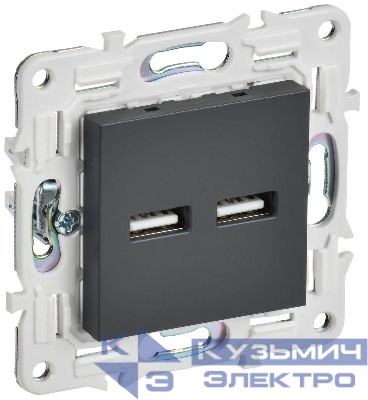 Розетка USB A+A 3.1А SKANDY SK-R15T титан IEK SK-U21-D31-K48