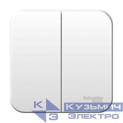 Выключатель 2-кл. ОП Blanca 6А IP20 (сх. 5) 250В бел. SE BLNVA065001