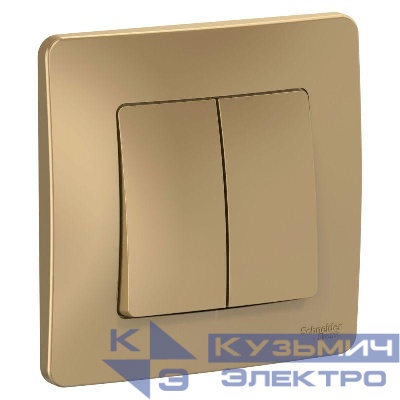 Переключатель проходной 2-кл. СП Blanca 10А IP20 (сх. 6+6) 250В титан SE BLNVS106604