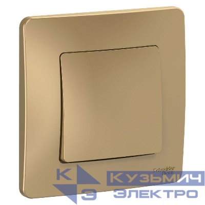 Выключатель 1-кл. СП Blanca 10А IP20 (сх. 1) 250В титан SE BLNVS010104